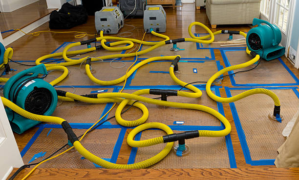 Professional Water Damage Repair technician working in Spanaway, WA